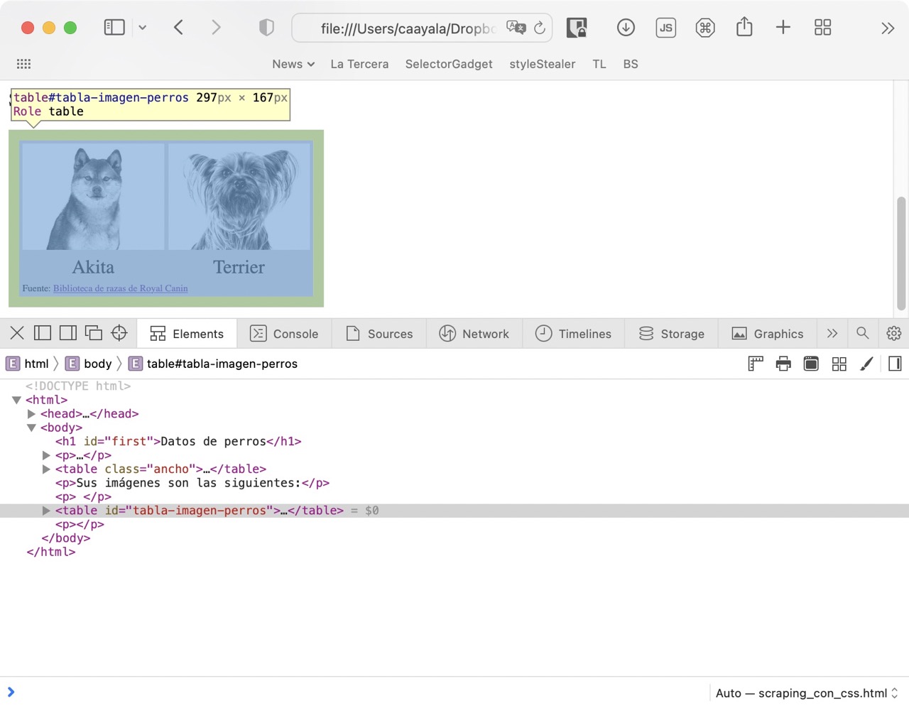 Web Inspector en Safari